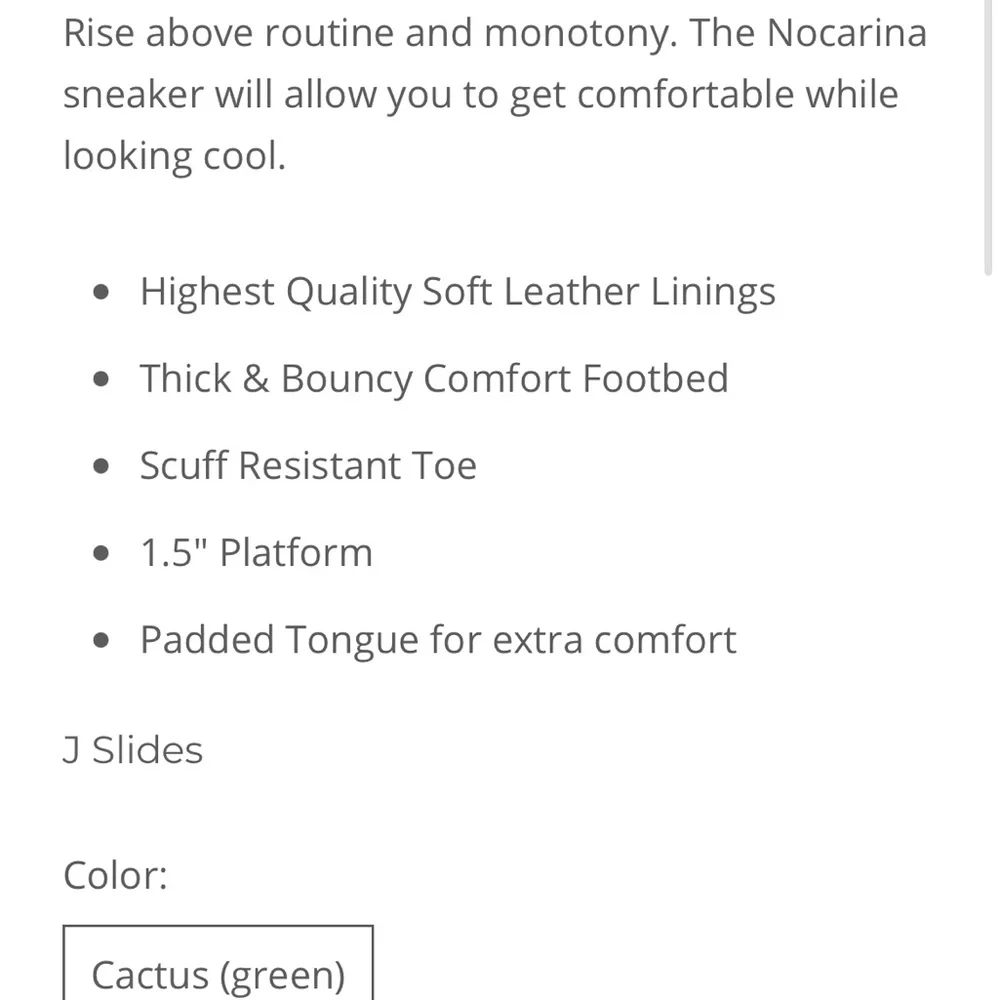 NWT J/SLIDES NOCARINA Cactus and Black Leather Sneaker - Picture 4 of 13